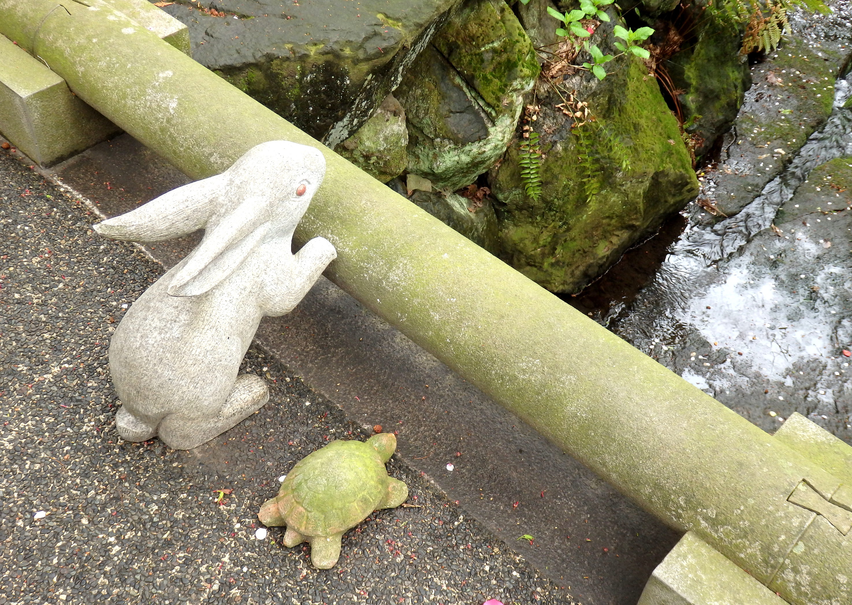 ウサギはカメを見たが カメはゴールを見た 心がほっとするほとけさまの話 岡本一志