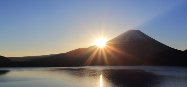 なかなか結果が出なくても、頑張ってきたことは、必ずやがて実を結ぶ